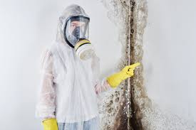 Best Residential Mold Inspection & Testing  in USA